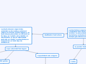 clasificacion bacteriana