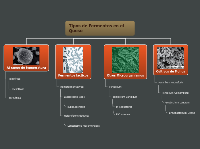 Tipos de Fermentos en el Queso