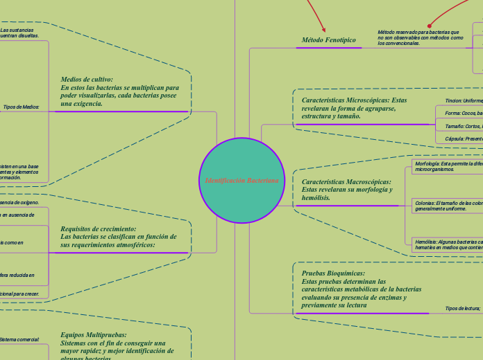 Identificación Bacteriana