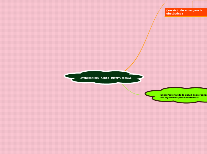 ATENCION DEL  PARTO  INSTITUCIONAL