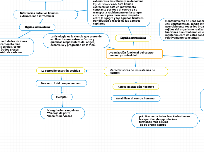 Organización funcional del cuerpo humano y control del 