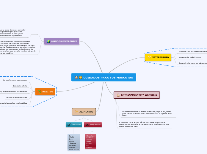 CUIDADOS PARA TUS MASCOTAS