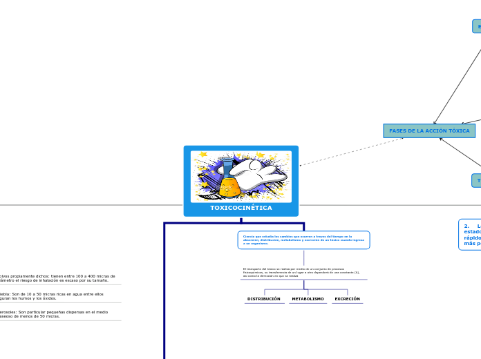 TOXICOCINÉTICA-