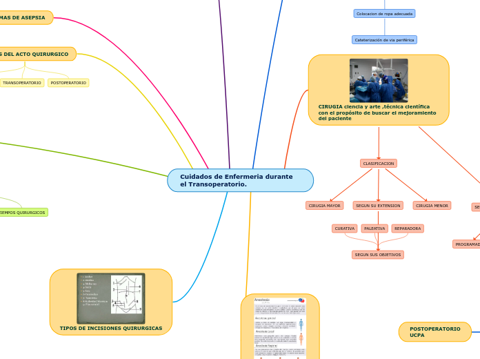 Cuidados de Enfermeria durante el Transoperatorio.