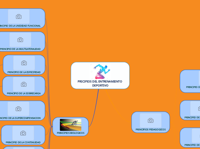 PRICIPIOS DEL ENTRENAMIENTO DEPORTIVO