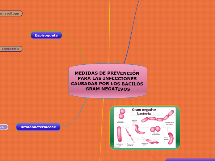 MEDIDAS DE PREVENCIÓN PARA LAS INFECCIONES CAUSADAS POR LOS BACILOS GRAM NEGATIVOS