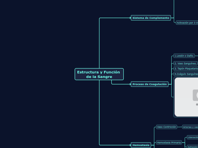 Estructura y Función 
de la Sangre