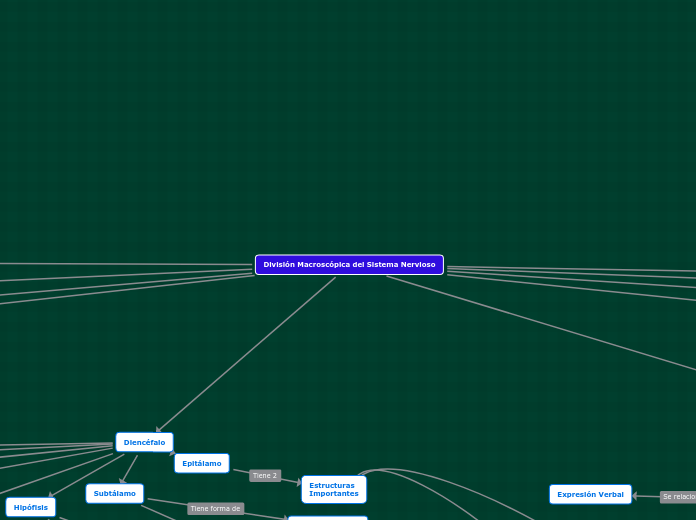 División Macroscópica del Sistema Nervioso