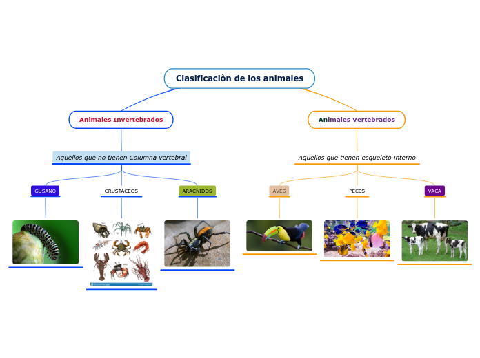 Clasificaciòn de los animales