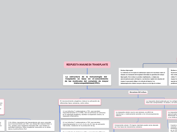 Organigrama arbol