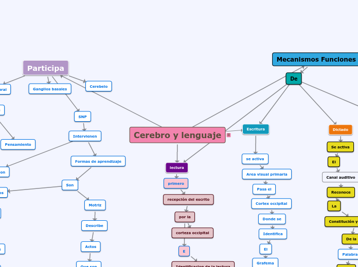 Cerebro y lectura