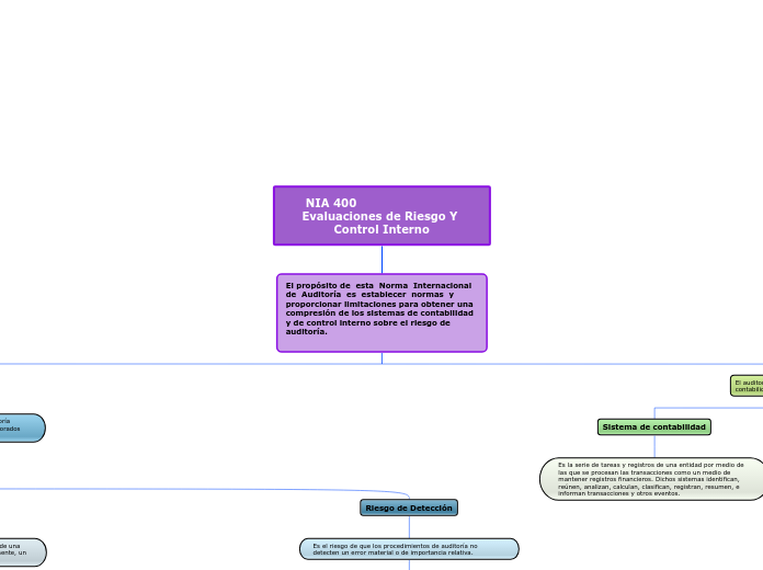 NIA 400                           Evaluaciones de Riesgo Y Control Interno