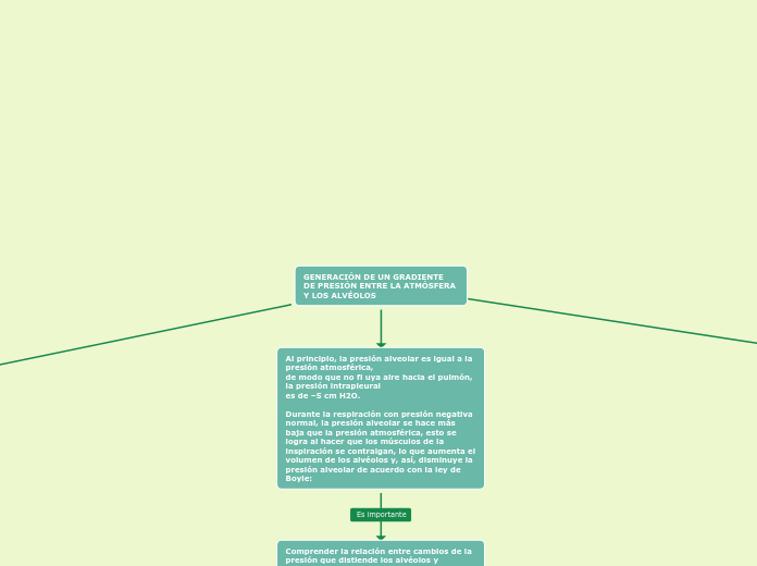 Mapa conceptual mecánica del sistema respiratorio