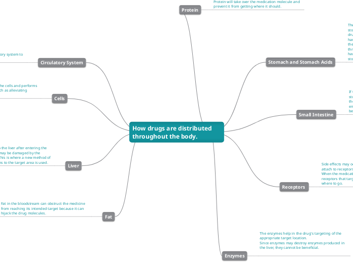 How drugs are distributed throughout the body.