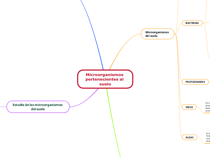 Microorganismos pertenecientes al suelo