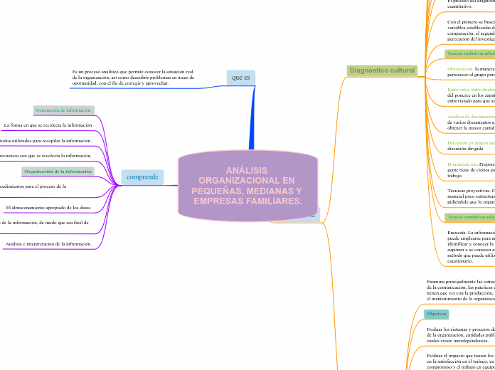 ANÁLISIS ORGANIZACIONAL EN PEQUEÑAS, MEDIANAS Y EMPRESAS FAMILIARES.