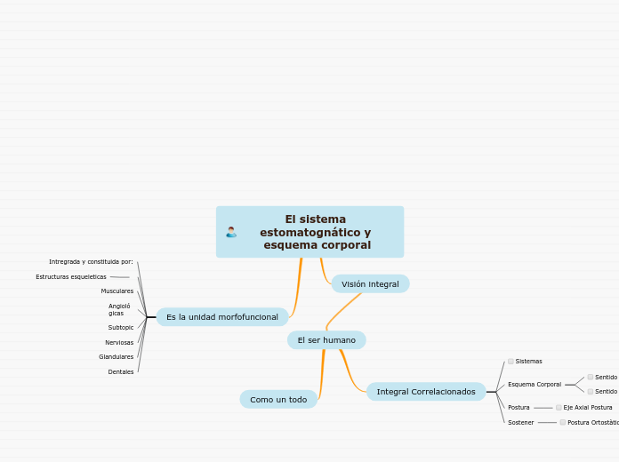 El sistema estomatognático y esquema corporal