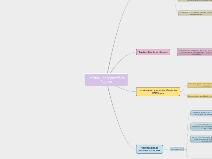 Retículo Endoplasmático Rugoso