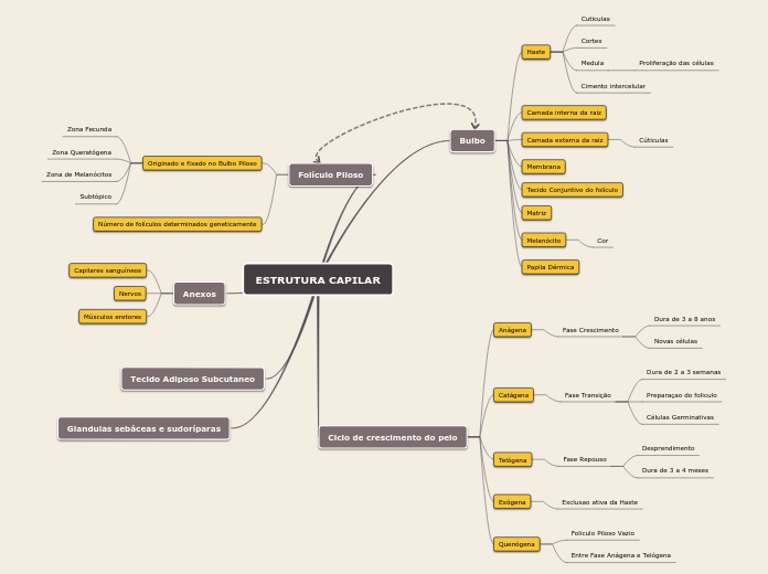 ESTRUTURA CAPILAR