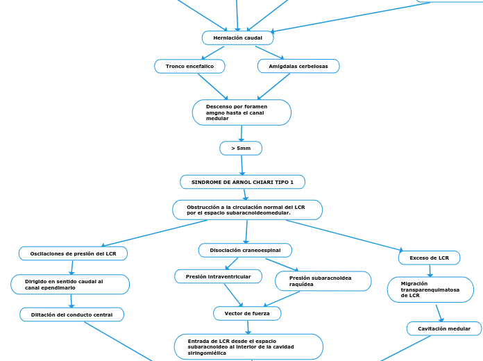 SINDROME DE ARNOL CHIARI TIPO 1