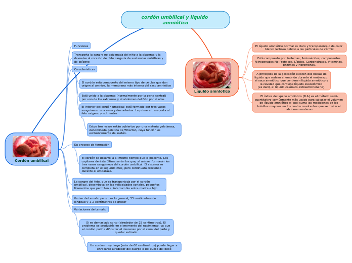 cordón umbilical y liquido amniótico
