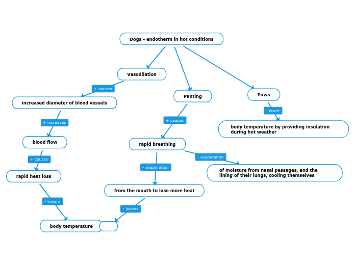 Dogs - endotherm in hot conditions