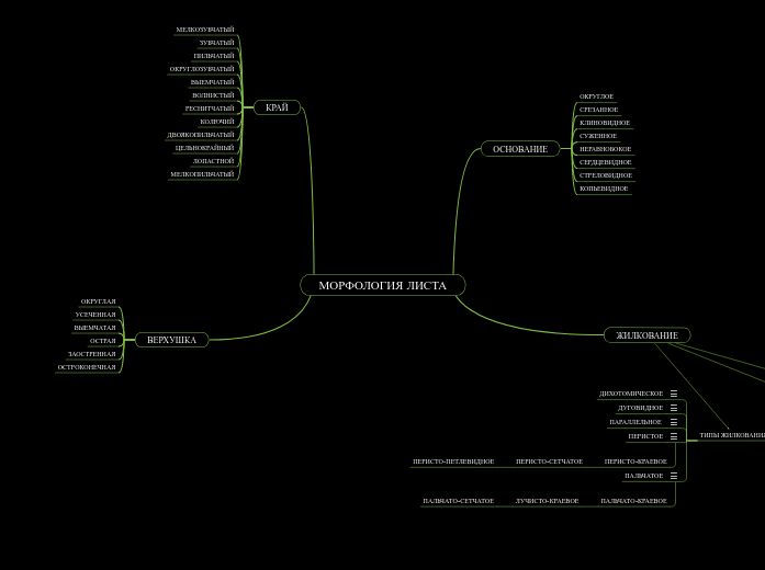МОРФОЛОГИЯ ЛИСТА