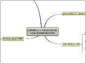 QUÍMICA Y FUNCIÓN DE LOS INGREDIENTES