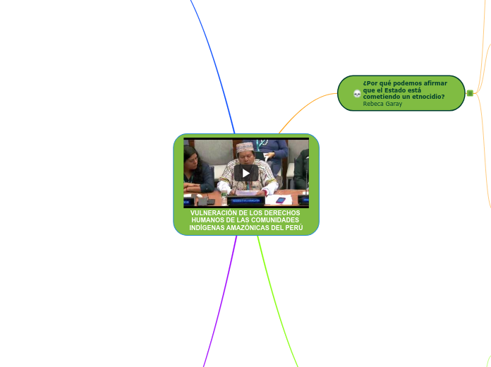 VULNERACIÓN DE LOS DERECHOS HUMANOS DE LAS COMUNIDADES INDÍGENAS AMAZÓNICAS DEL PERÚ