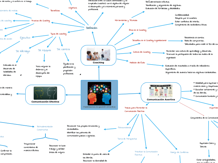 Habilidades de gestión directiva