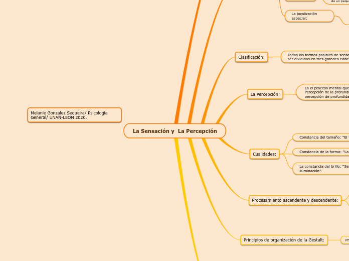 La Sensación y  La Percepción