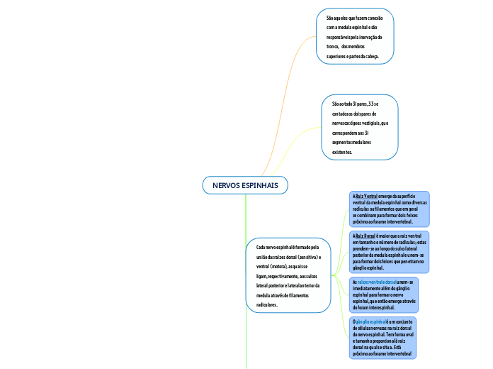 NERVOS ESPINHAIS