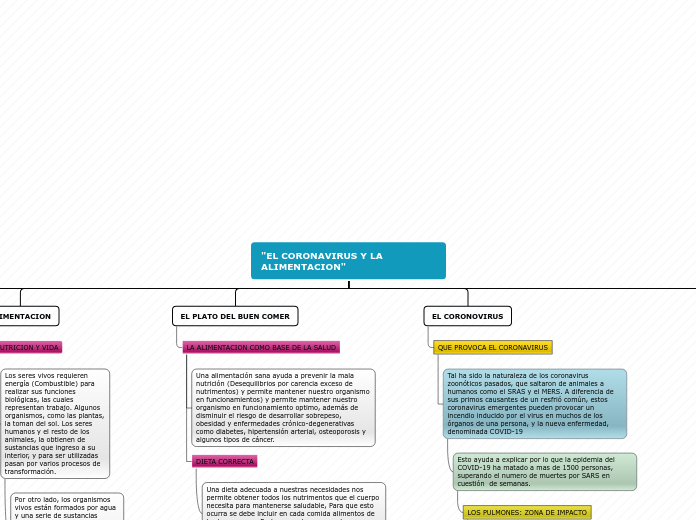 Organigrama arbol