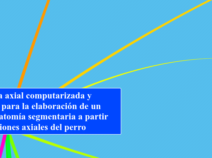 Tomografía axial computarizada y resonancia para la elaboración de un atlas de anatomía segmentaria a partir de criosecciones axiales del perro