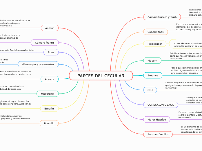 PARTES DEL CECULAR