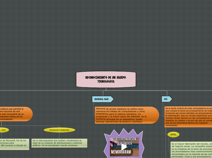 Organigrama arbol