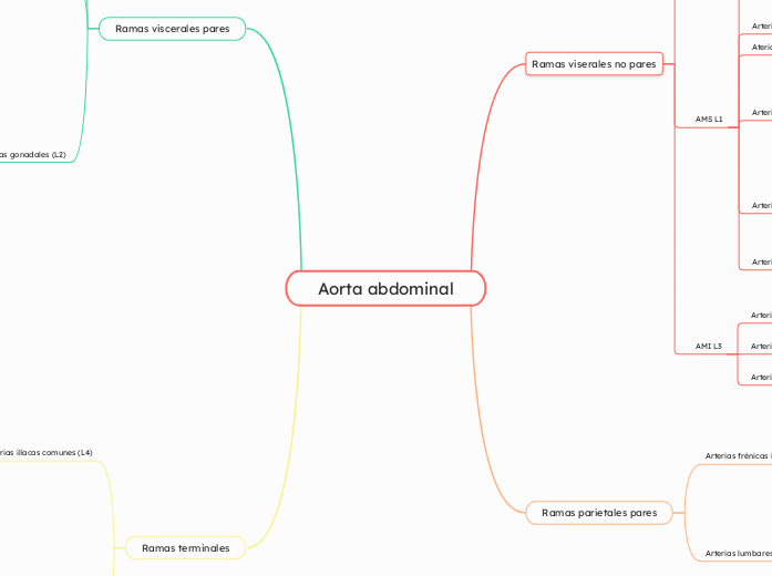 Irrigacion arterial del abdomen