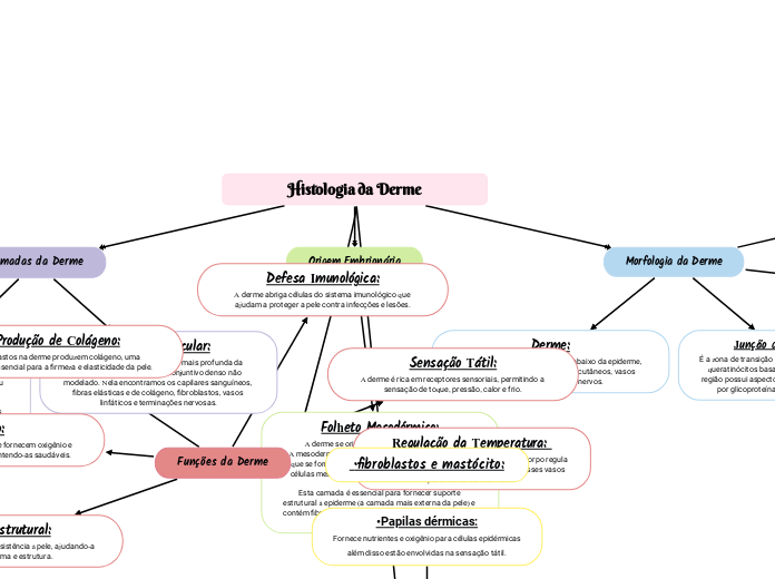 Histologia da Derme