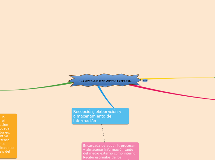 LAS 3 UNIDADES FUNDAMENTALES DE LURIA