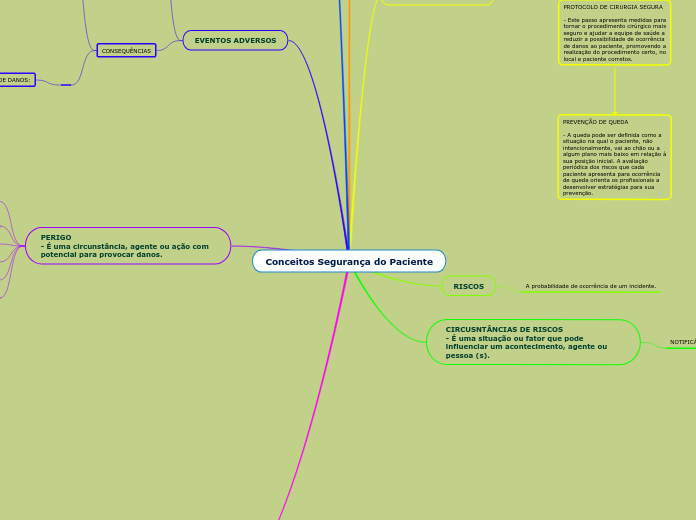 Conceitos Segurança do Paciente