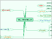 CELL ORGANELLES