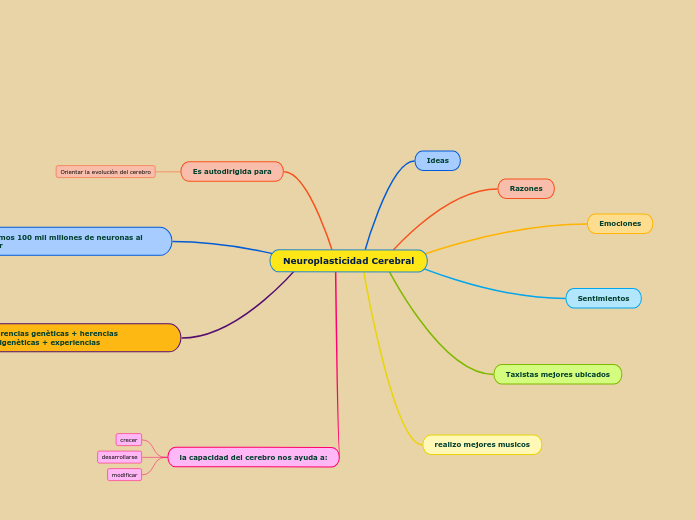 Neuroplasticidad Cerebral