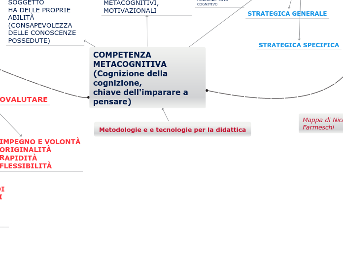 La competenza metacognitiva di Nicoletta Farmeschi