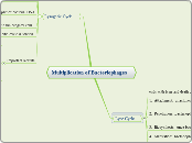 Multiplication of Bacteriophages