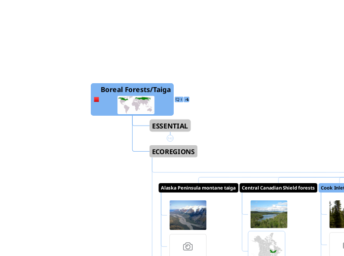 Boreal Forests/Taiga