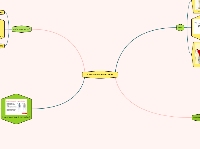 IL SISTEMA SCHELETRICO 