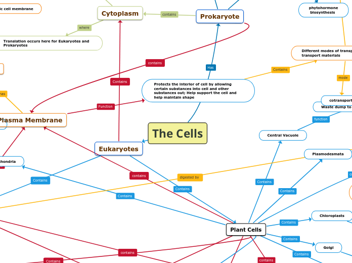 The Cells