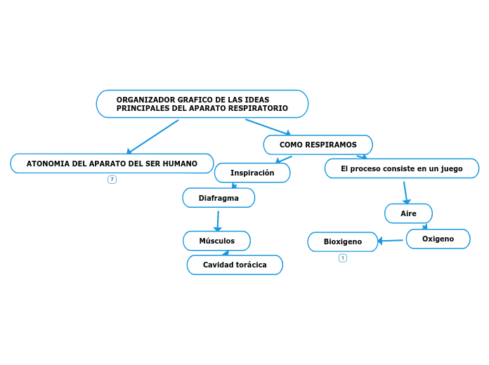 ORGANIZADOR GRAFICO DE LAS IDEAS PRINCIPALES DEL APARATO RESPIRATORIO