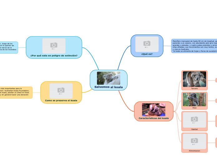 Salvemos al koala