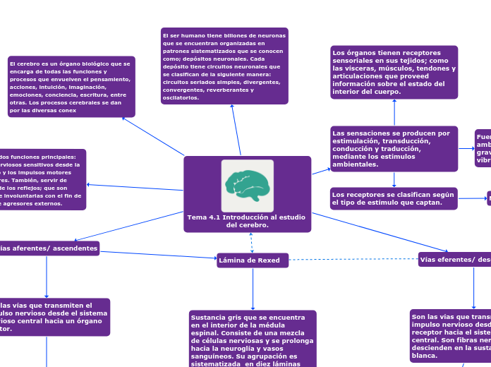 Tema 4.1 Introducción al estudio del cerebro.